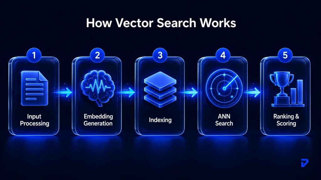 How Do Vector Search and Databases Work?